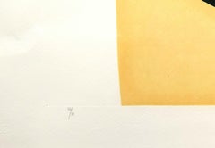 Blacks and Whites I ( Acetates) - Plate F - Lithograph Embossing with 1969