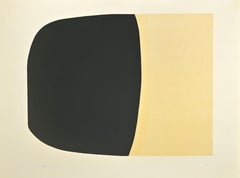 Bianchi e Neri II (Acetates) - Plate B - By Alberto Burri - 1969