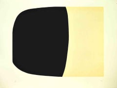 Bianchi e Neri II ( Acetaten) – Teller B – von Alberto Burri – 1969