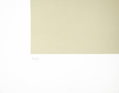 Bianchi e Neri II (Acetates) - Plate D - By Alberto Burri - 1970