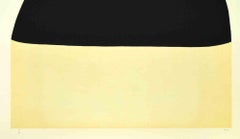 Bianchi e Neri II (Acetates) - Plate E - By Alberto Burri - 1969