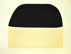 Bianchi e Neri II ( Acetaten) – Teller E – von Alberto Burri – 1969