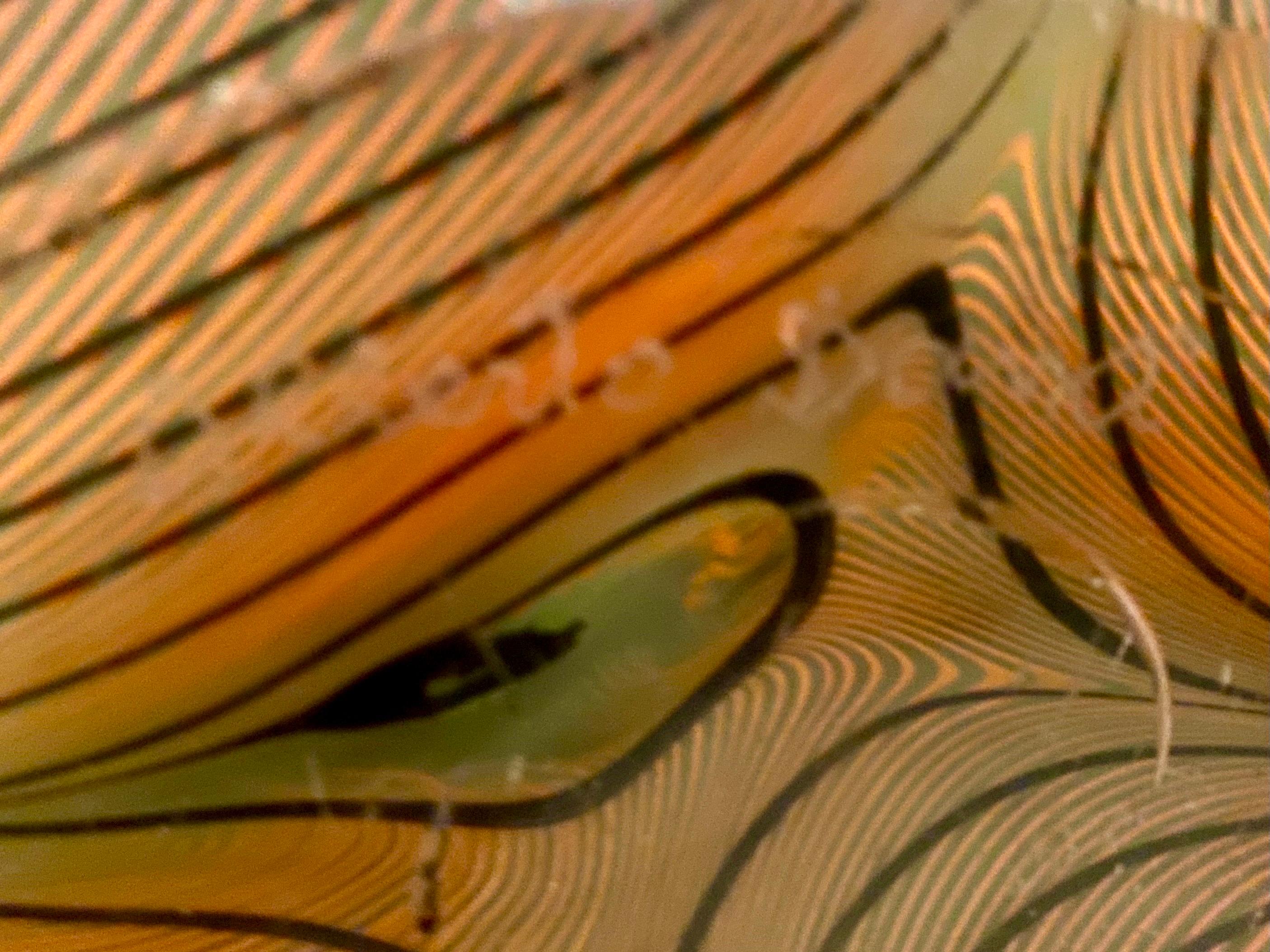 XXIe siècle et contemporain Alberto Dona Vase en verre de Murano à grandes plumes, signé en vente