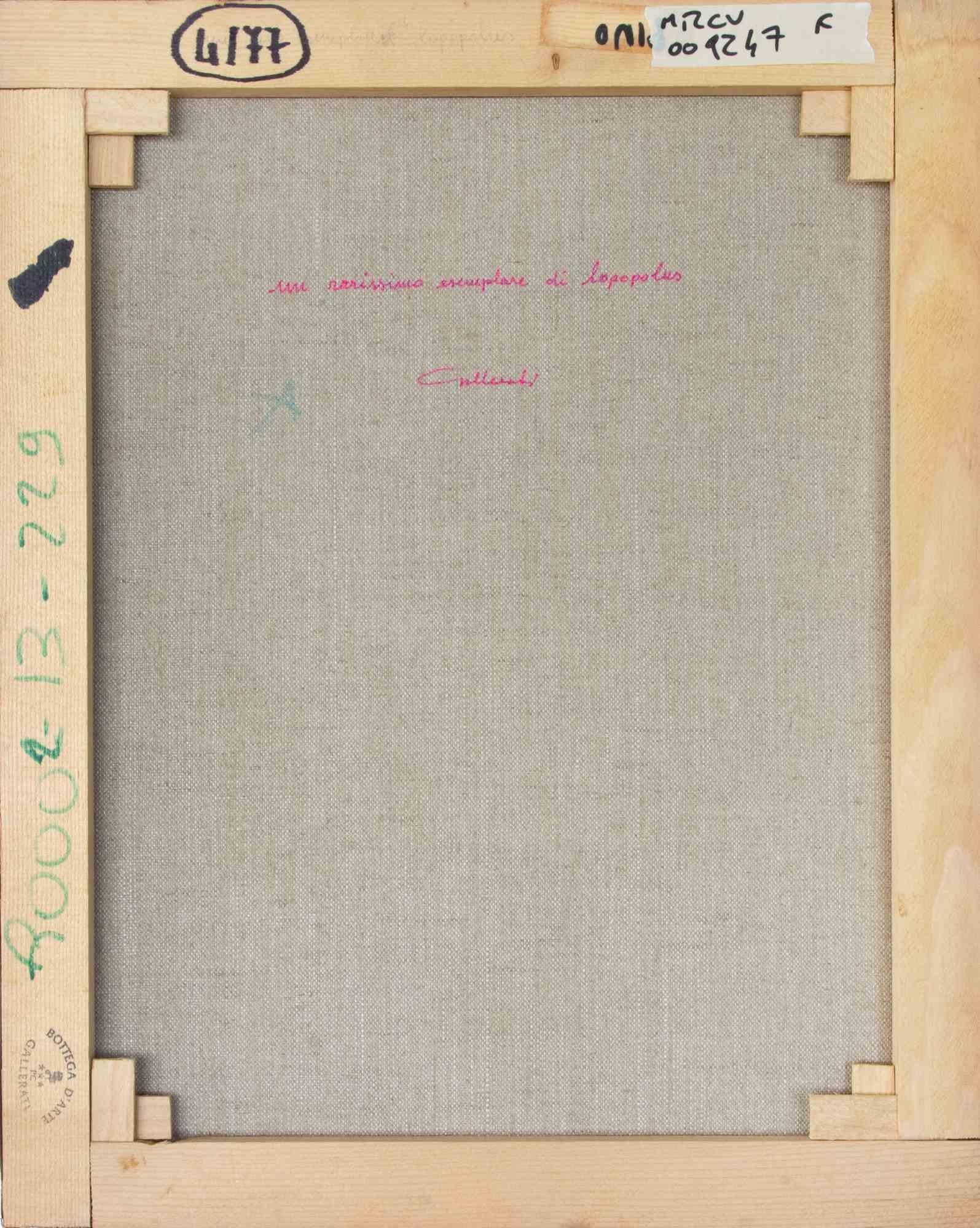 Ein sehr seltenes Exemplar des Lopopulus - Gemälde von Alberto Gallerati - 1970er Jahre im Angebot 2