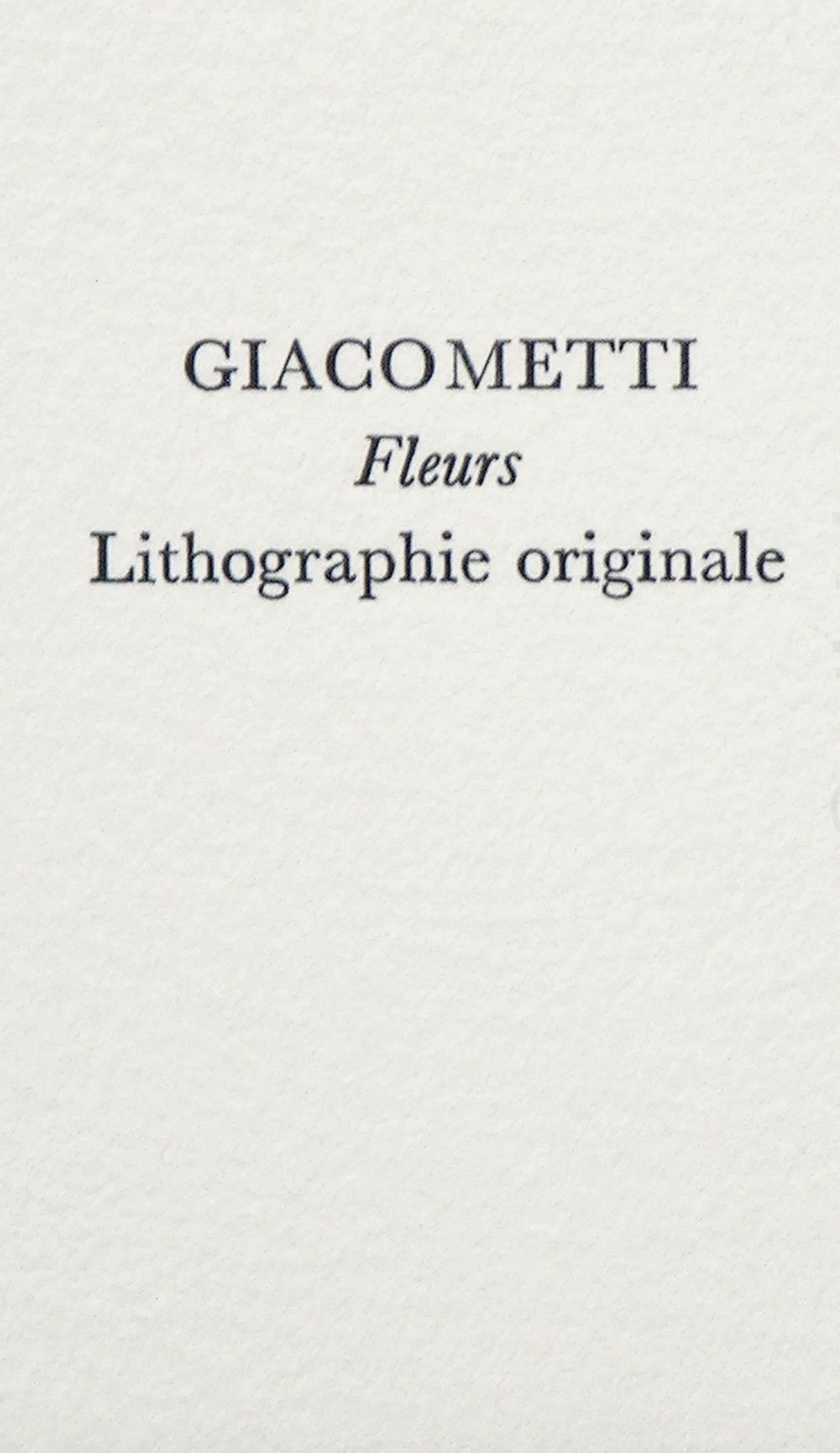 Giacometti, Fleurs, Souvenirs et portraits d'artistes (après) en vente 2