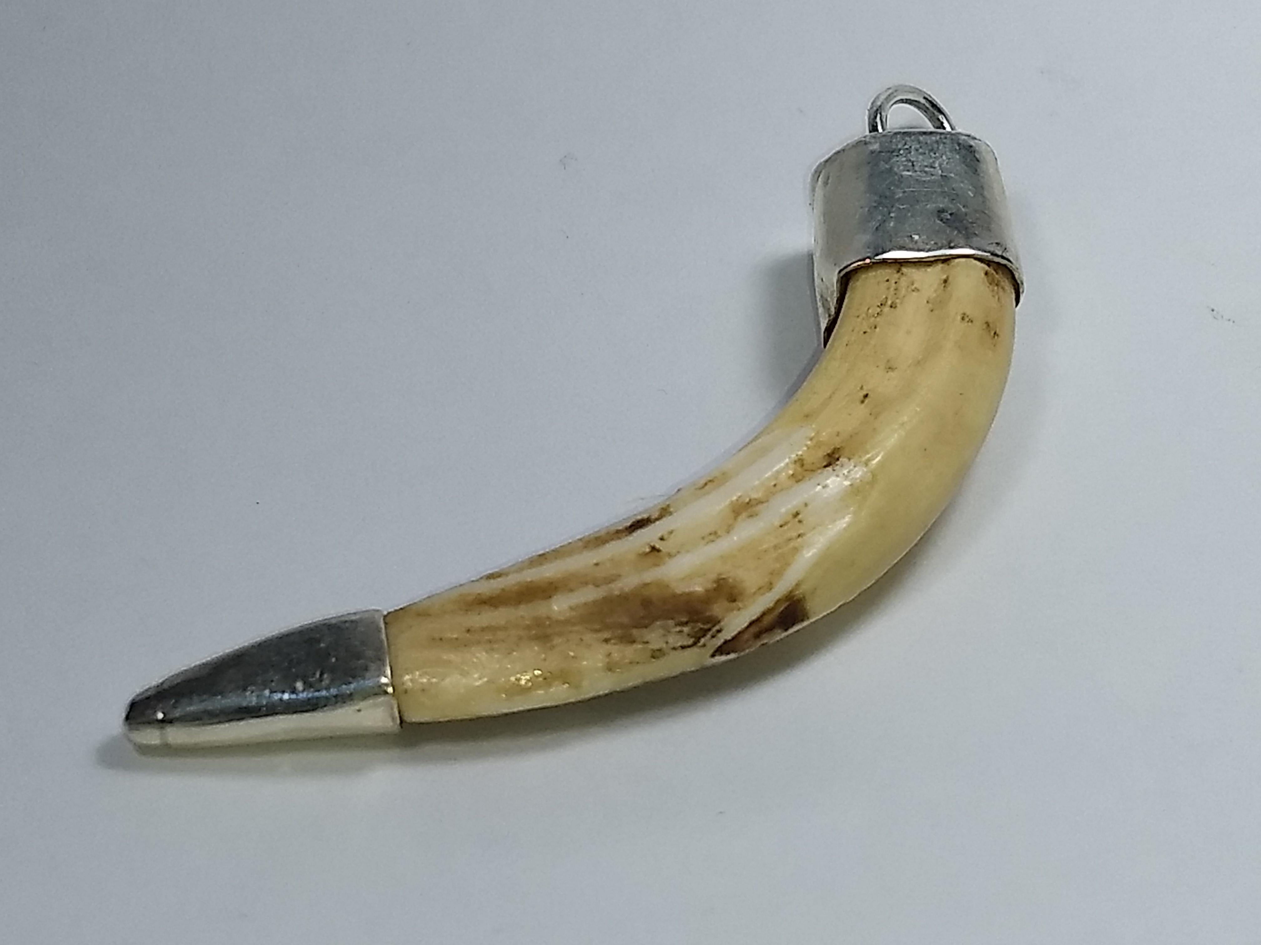 This Alberto Juan one of a kind pendant was made from one wild boar tusk and sterling silver, unmarked. This pendant measures 2.7