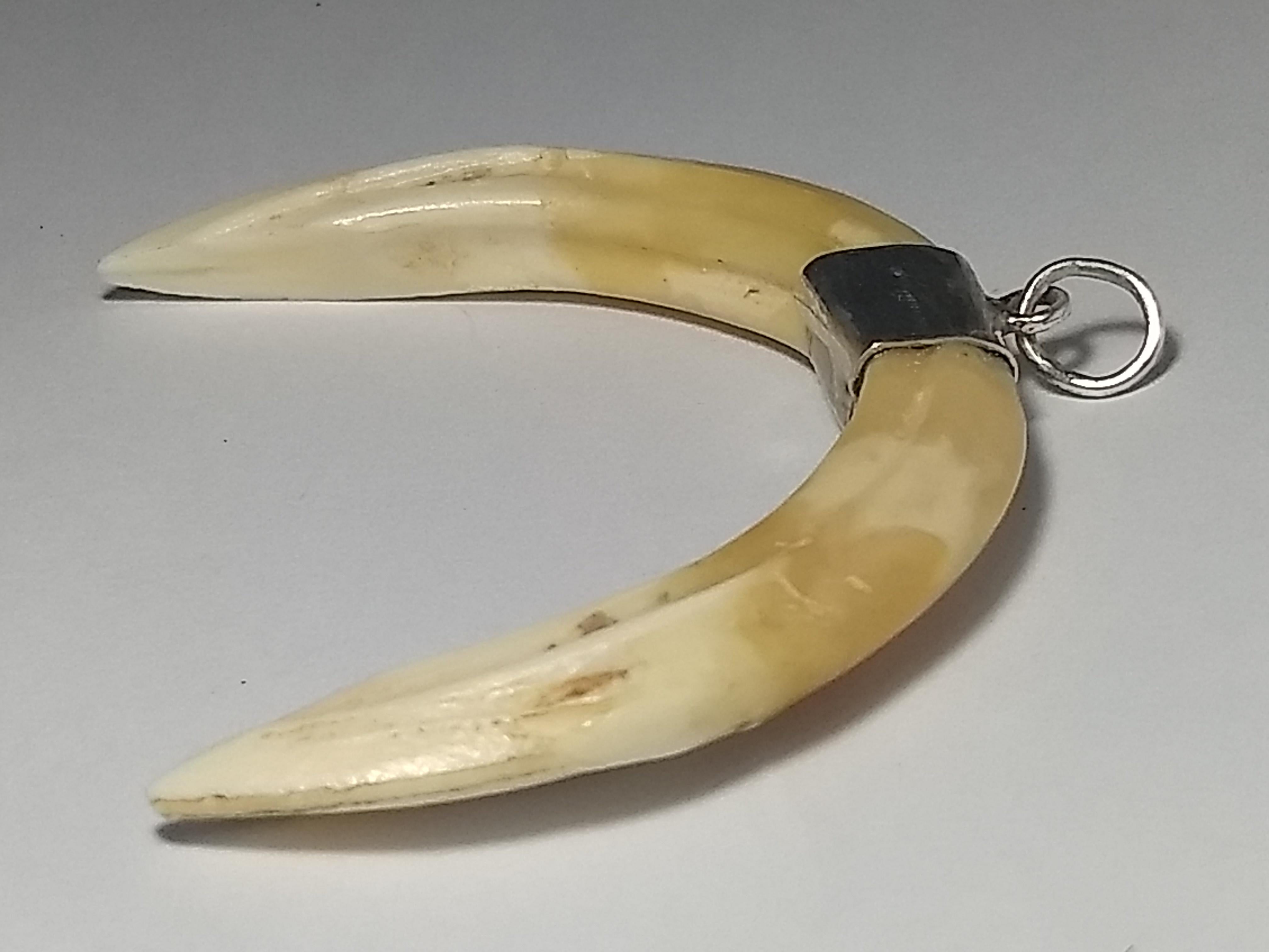 This Alberto Juan one of a kind pendant was made from 2 wild boars tusks and sterling silver, unmarked. This pendant measures 2.5