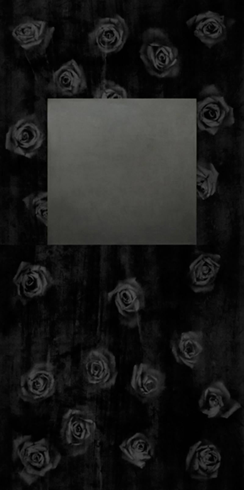 Alberto Montaño Mason Still-Life Photograph - Led Rose (Black) 