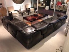 Alberto Roselli Leather Modular Sofa