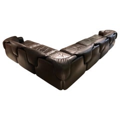 Alberto Roselli Leather Modular Sofa