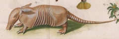 Gravure de plantes à fleurs et ardoises