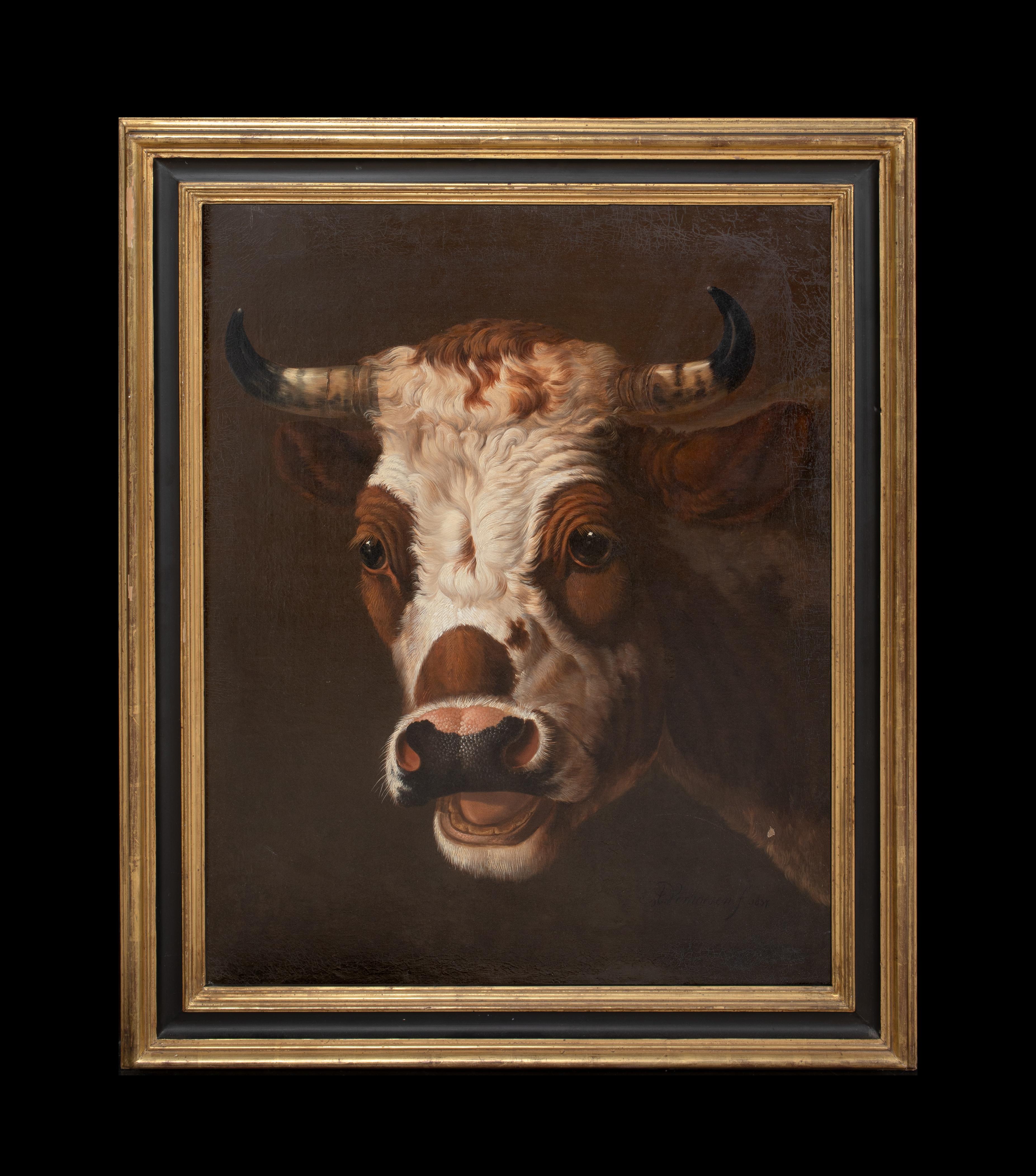 Ritratto di un toro, XIX secolo   ALBERTUS VERHOESEN (1806 - 1881) - Painting di Albertus Verhoesen