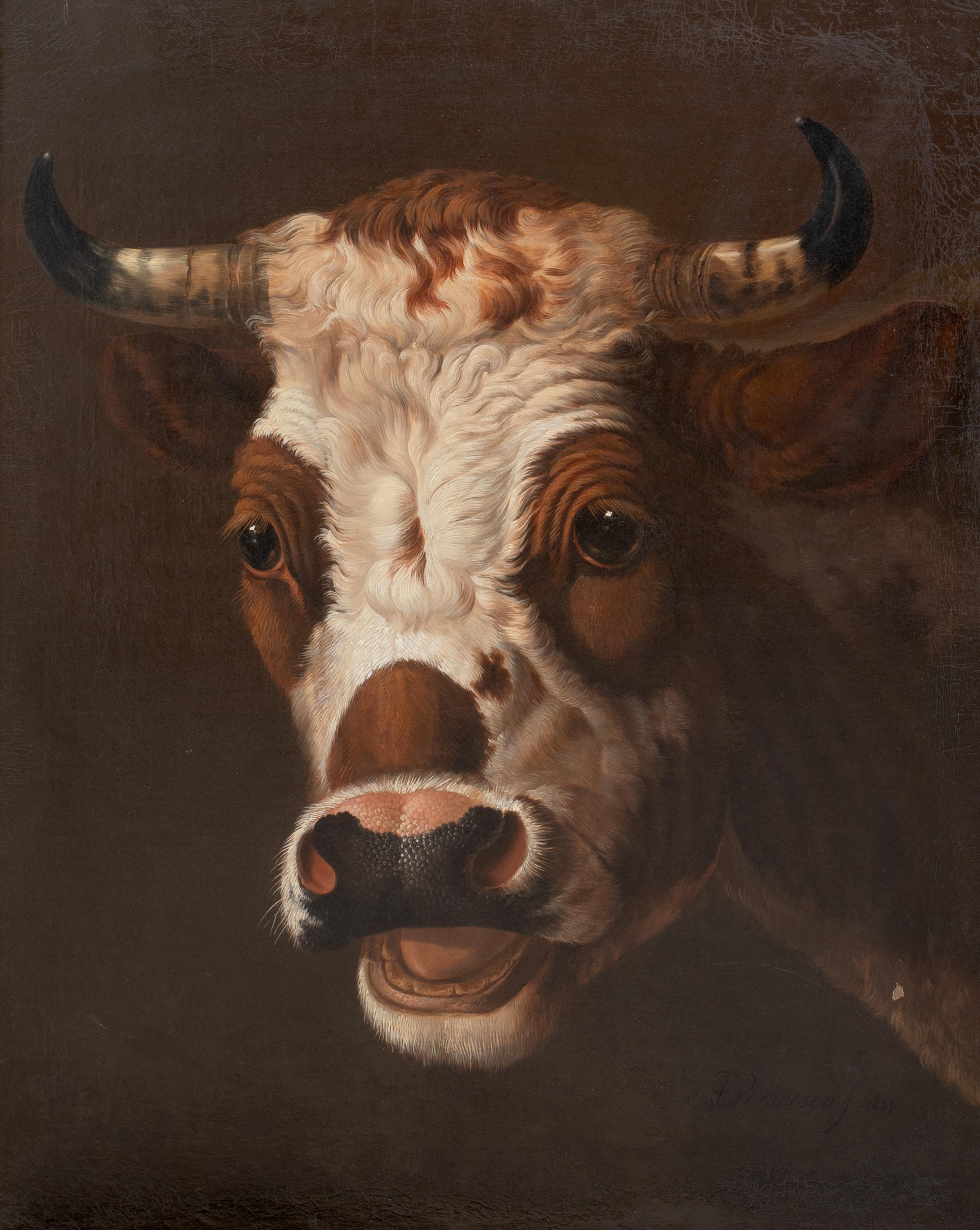 Ritratto di un toro, XIX secolo 

ALBERTUS VERHOESEN (1806 - 1881) vendite $15.000

Grande ritratto belga del XIX secolo di un toro, olio su tela di Albertus Verhoesen. Studio della testa del toro di eccellente qualità e condizione, dipinto con