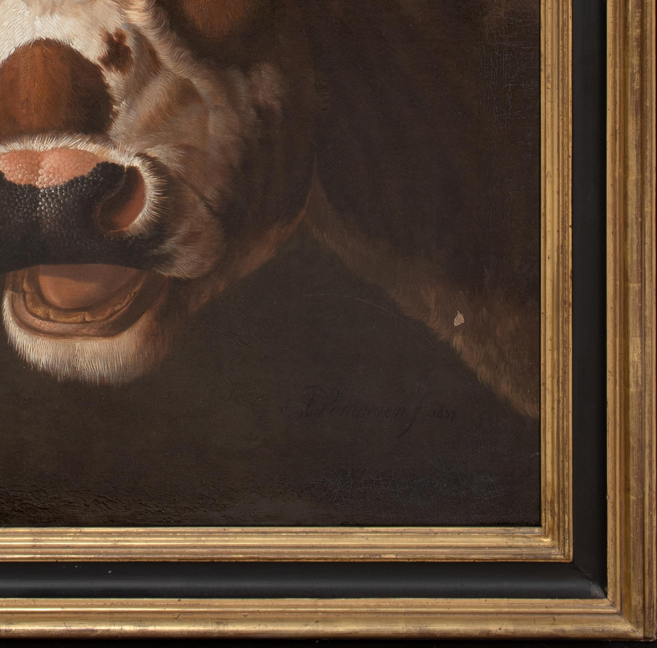 Ritratto di un toro, XIX secolo   ALBERTUS VERHOESEN (1806 - 1881) 1