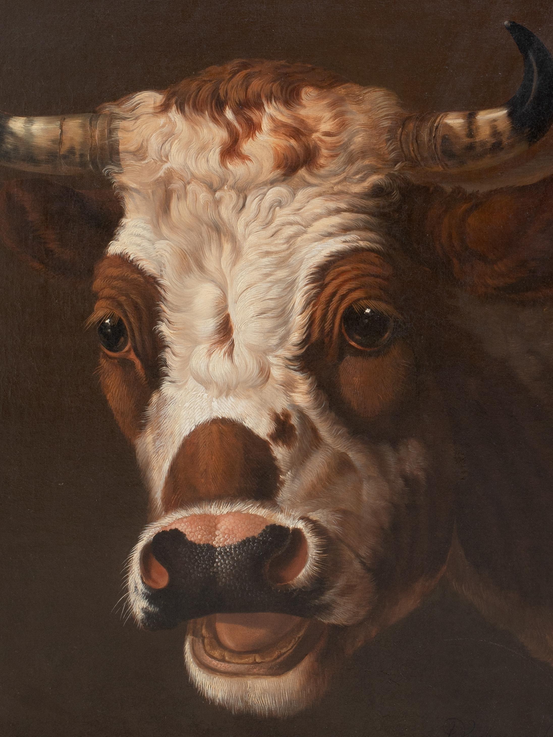 Ritratto di un toro, XIX secolo   ALBERTUS VERHOESEN (1806 - 1881) 3