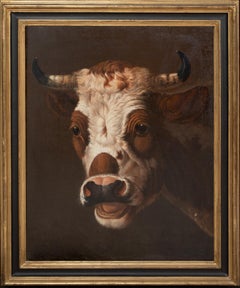 Ritratto di un toro, XIX secolo   ALBERTUS VERHOESEN (1806 - 1881)