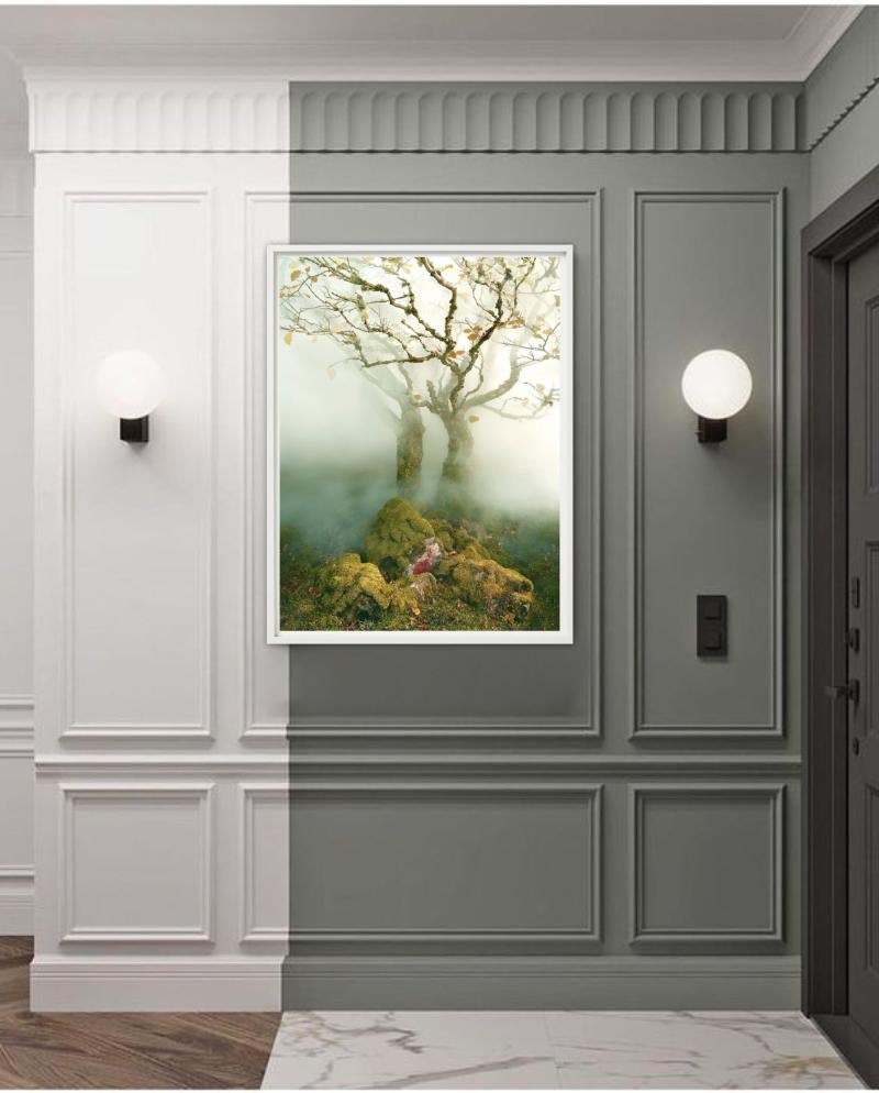 Albert Watson, Baum im Nebel, The Fairy Glen, Isle of Skye, Schottland, 2013 im Angebot 6