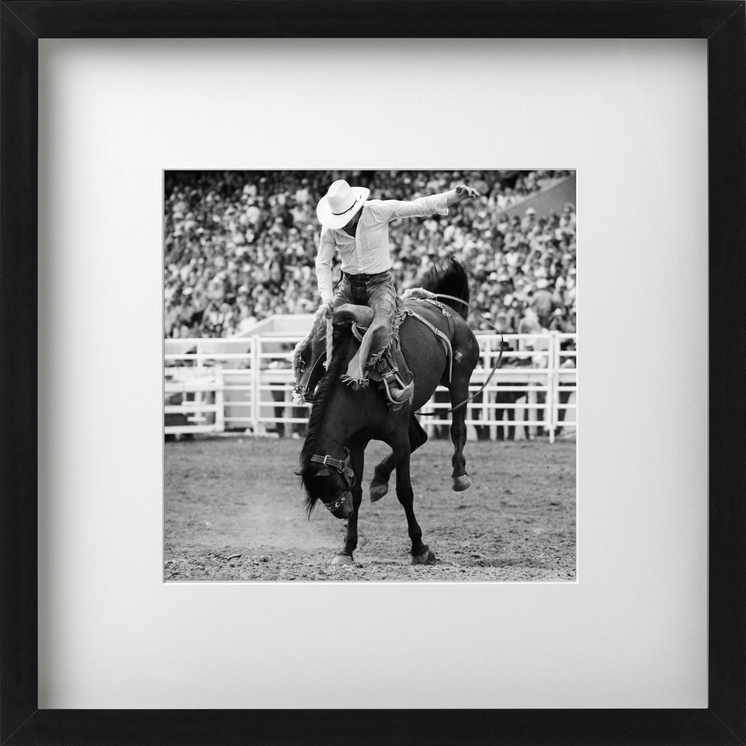 Calgary, rodeo, cowboy and horse, black and white,  photographed by Albert Watson.

All prints are limited edition. Available in multiple sizes. High-end framing on request.

All prints are done and signed by the artist. The collector receives an