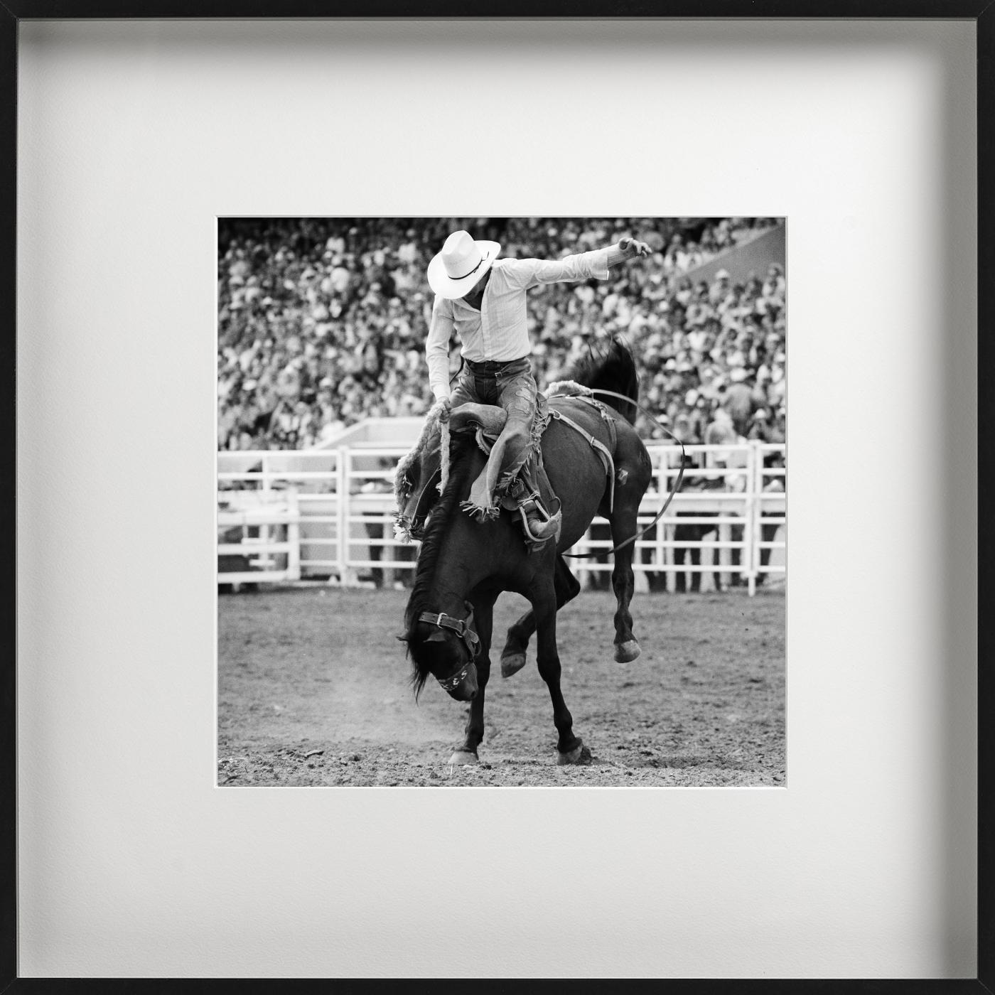 Calgary, Cowboy and Horse, Rodeo, black and white- Fine Art Photography, 1978 For Sale 1