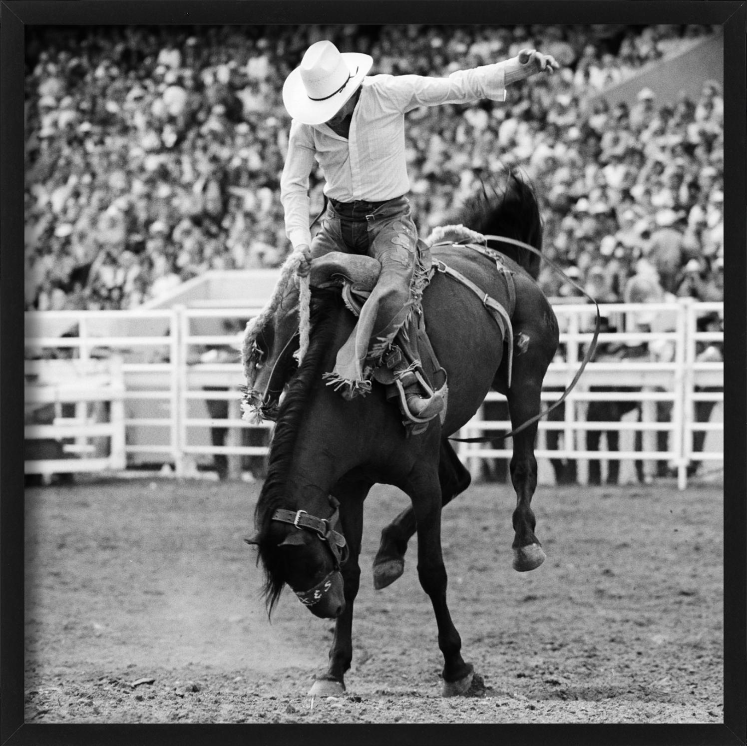 Calgary, Cowboy and Horse, Rodeo, black and white- Fine Art Photography, 1978 For Sale 2