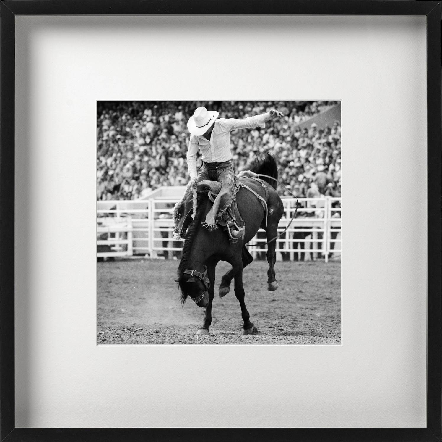 Calgary, Cowboy and Horse, Rodeo, black and white- Fine Art Photography, 1978 For Sale 3