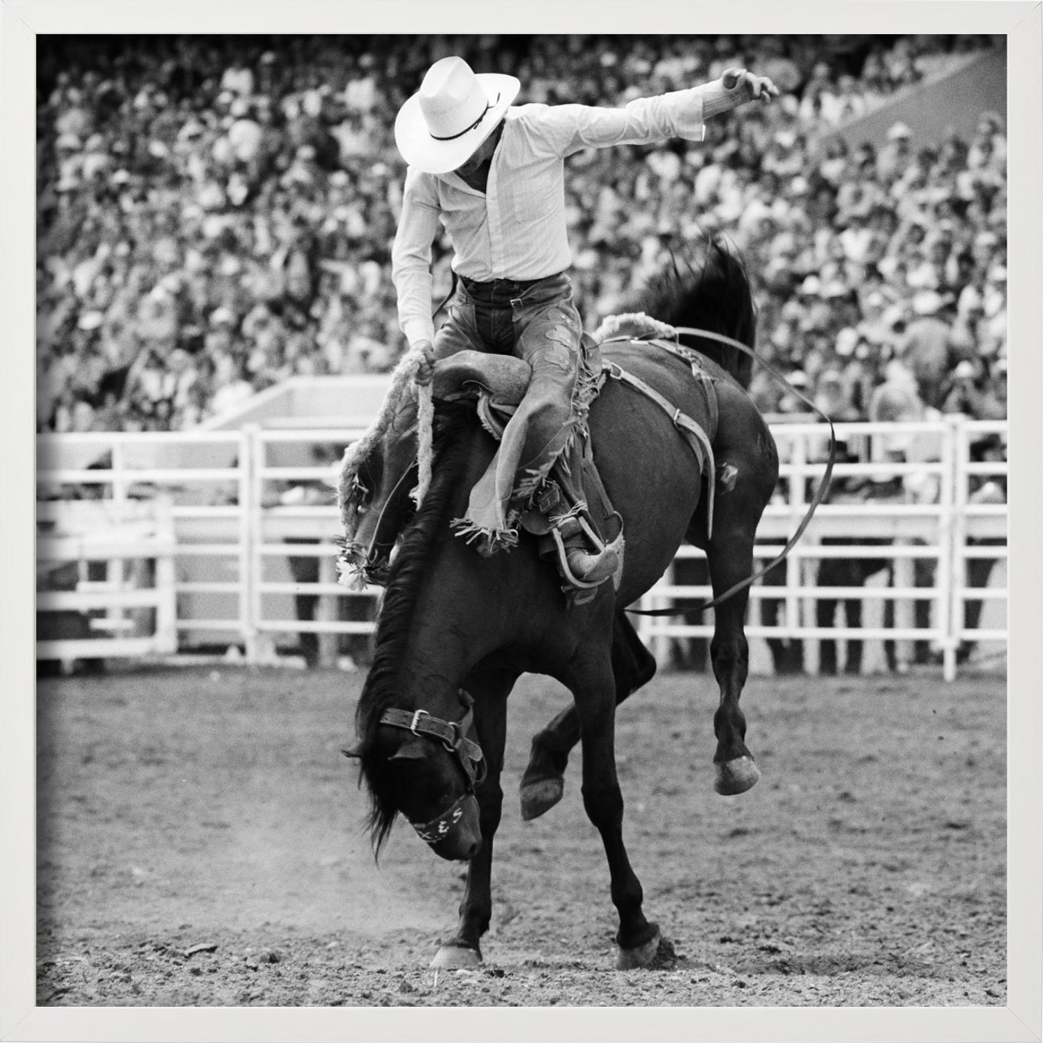 Calgary, Cowboy and Horse, Rodeo, black and white- Fine Art Photography, 1978 For Sale 4