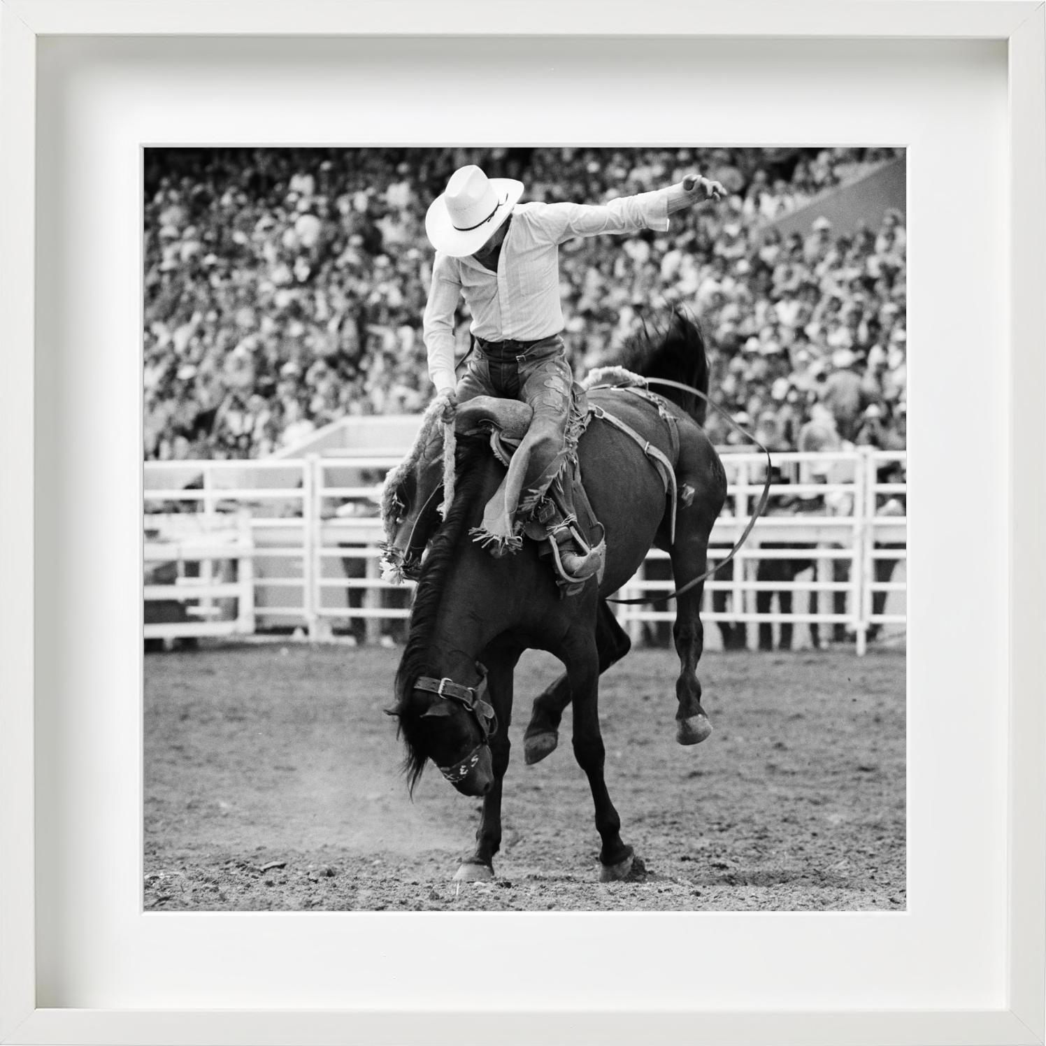 Calgary, Cowboy and Horse, Rodeo, black and white- Fine Art Photography, 1978 For Sale 6