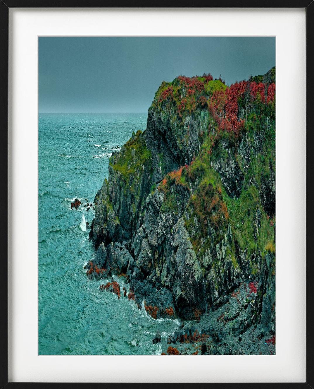 'Coral Beach VII' - green and red trees on cliffs, fine art photography, 2013 - Contemporary Photograph by Albert Watson