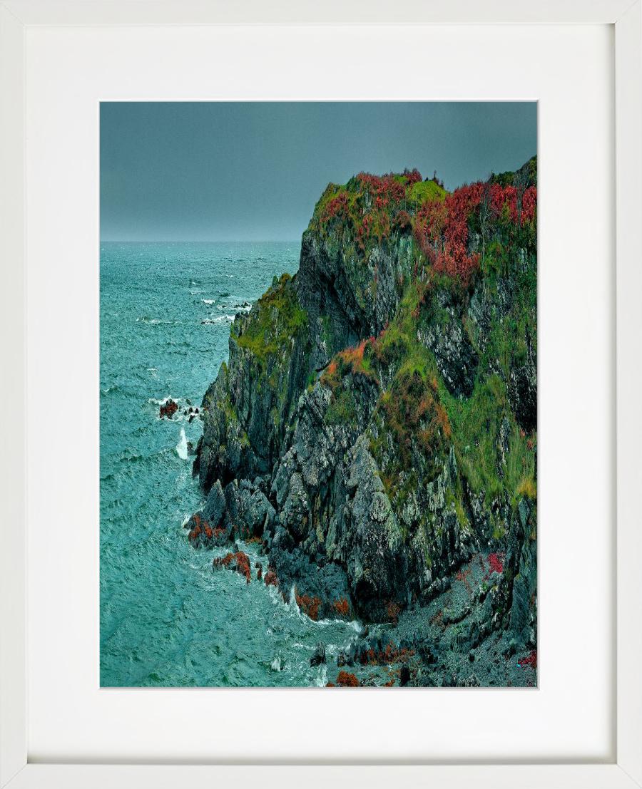'Coral Beach VII' - green and red trees on cliffs, fine art photography, 2013 For Sale 1