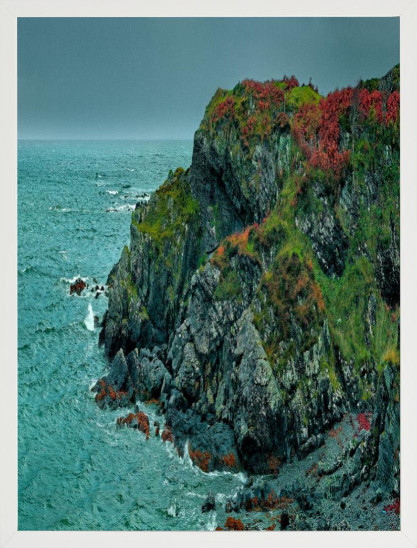 'Coral Beach VII' - green and red trees on cliffs, fine art photography, 2013 For Sale 2