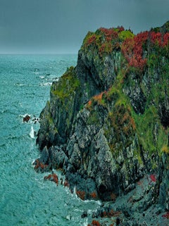 'Coral Beach VII' - green and red trees on cliffs, fine art photography, 2013