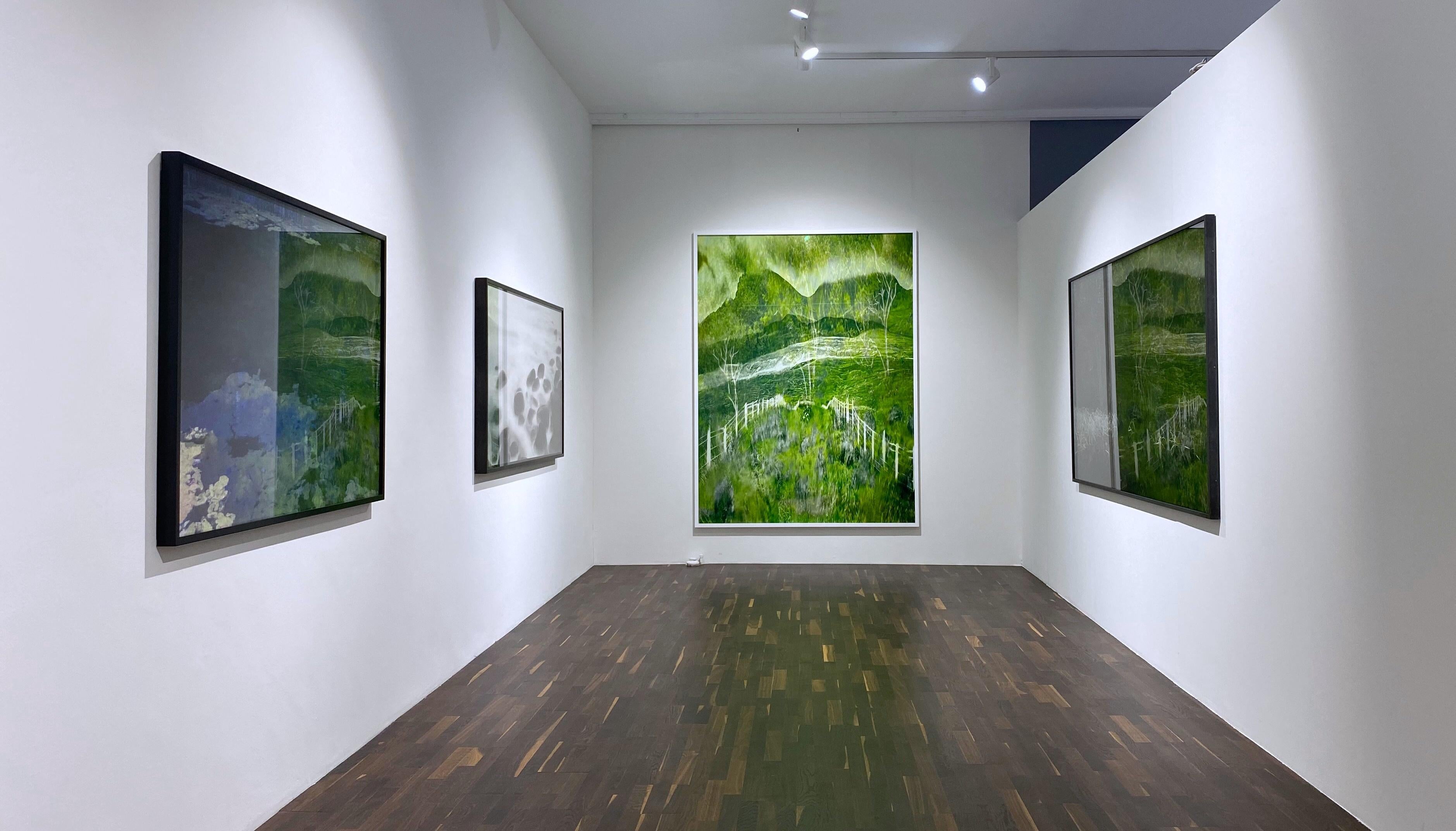 Double Exposure through Windshield – Albert Watson, Green, Landscape, Nature For Sale 2