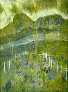 Doppelbelichtung durch Windschutzscheibe - Albert Watson, Skye, Baum, Natur, Abstrakt