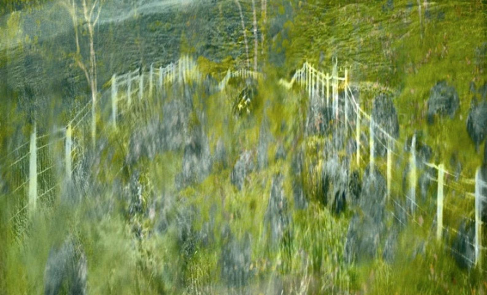 Double Exposure durch Windshield Albert Watson, Grün, Landschaft, Natur im Angebot 1