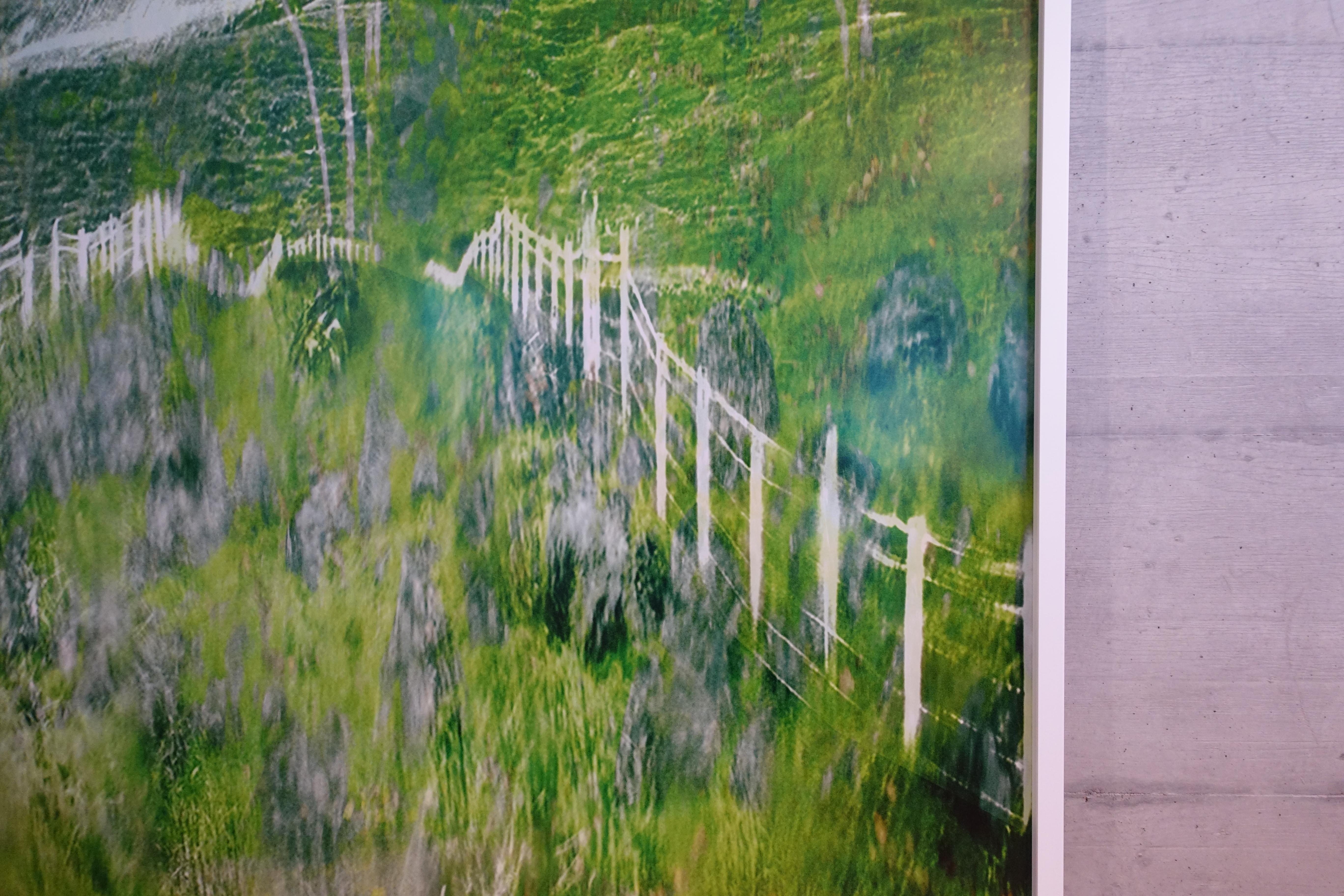 Double Exposure through Windshield – Albert Watson, Green, Landscape, Nature For Sale 1