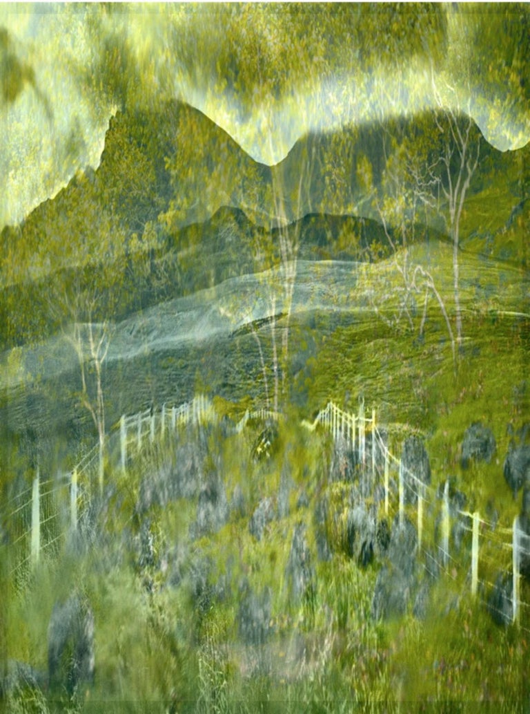Albert Watson - Double Exposure through Windshield – Albert Watson, Green,  Landscape, Nature For Sale at 1stDibs