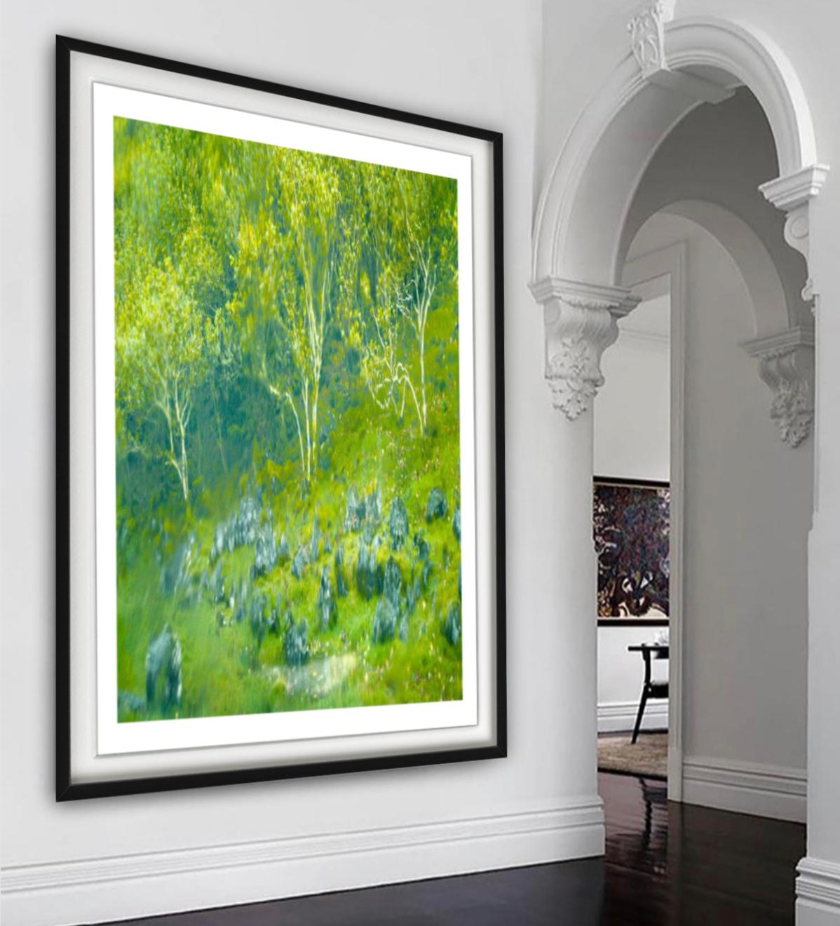 « Fayry Glen » - plantes vertes et bleues floues, photographie d'art, 2013 en vente 3
