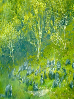 'Fairy Glen' - blurred green and blue plants, fine art photography, 2013