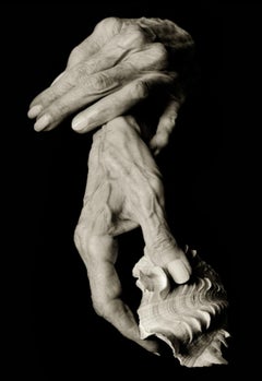 Joan Didion, Hände, Kunstfotografie der bildenden Kunst