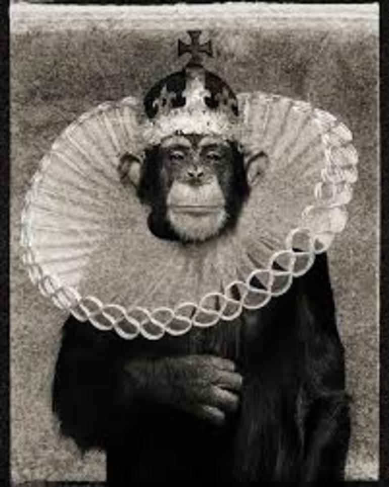 King Casey - iconic portrait of an chimpanzee as king - Photograph by Albert Watson