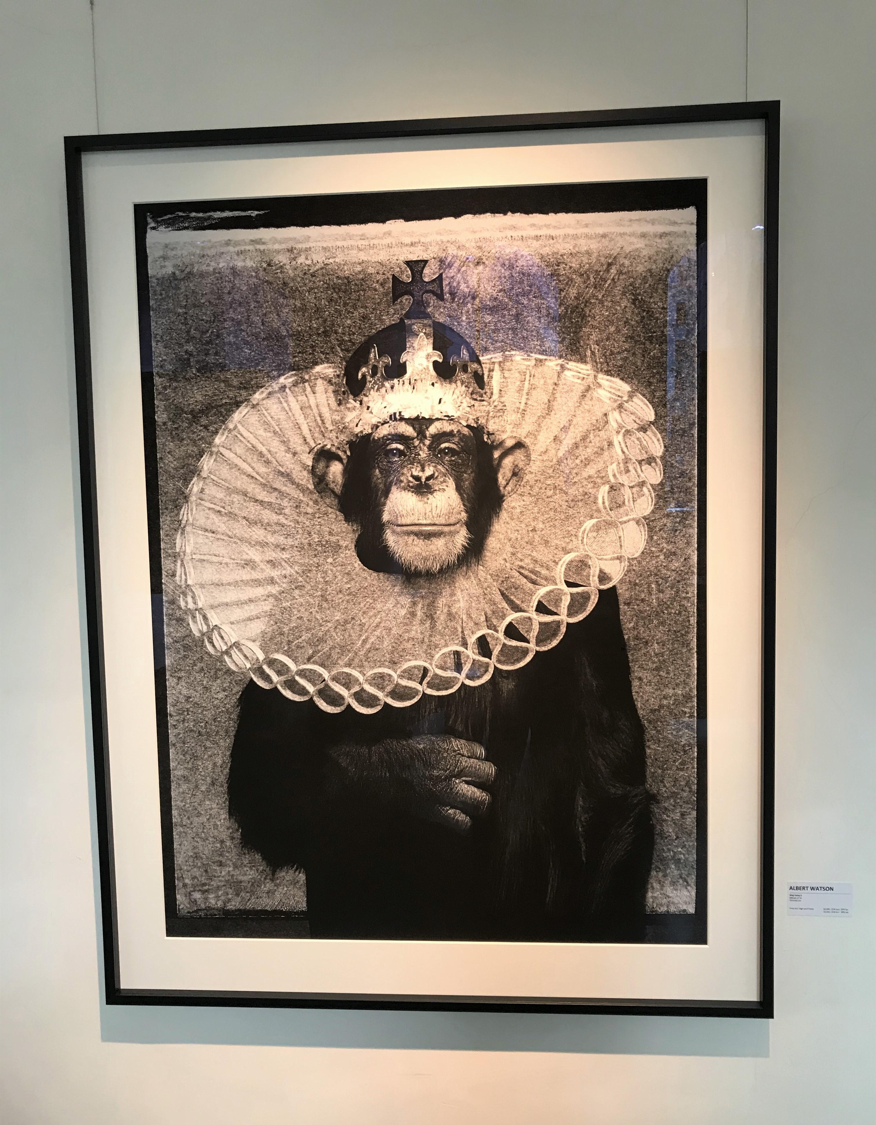 Portrait Photograph de Albert Watson - Rey Casey - retrato icónico de un chimpancé como rey