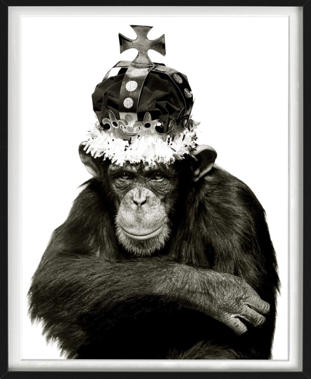King Casey, NYC –  b&w Porträt eines Ape mit Krone, Kunstfotografie, 1992 im Angebot 5