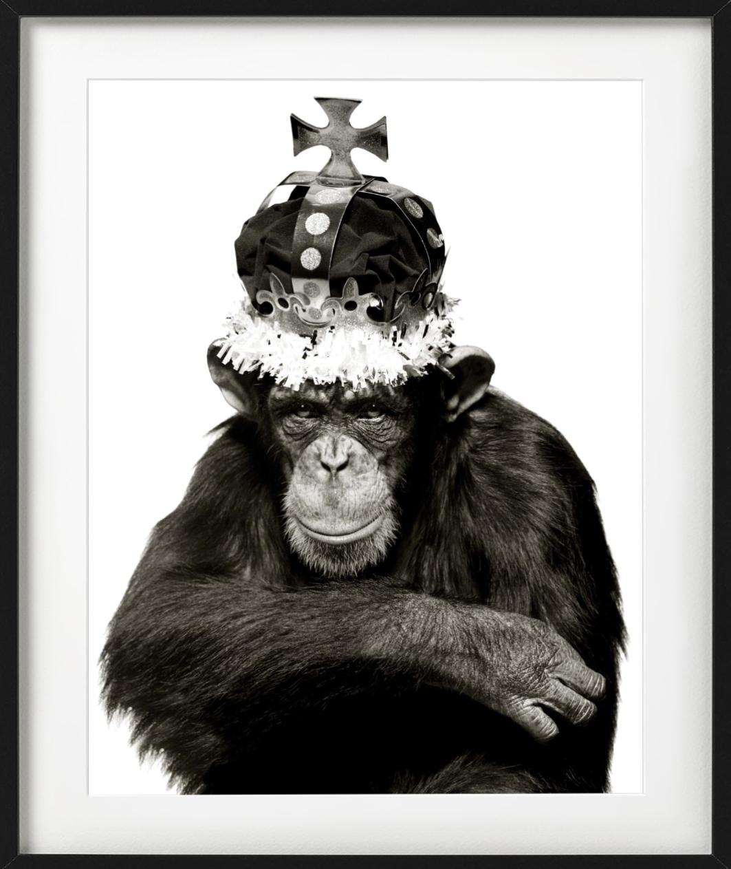 King Casey, NYC –  b&w Porträt eines Ape mit Krone, Kunstfotografie, 1992 – Photograph von Albert Watson