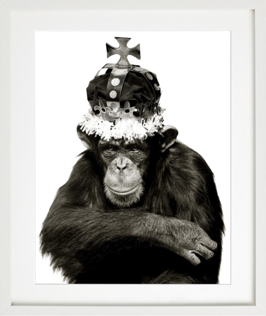 King Casey, NYC –  b&w Porträt eines Ape mit Krone, Kunstfotografie, 1992 im Angebot 1