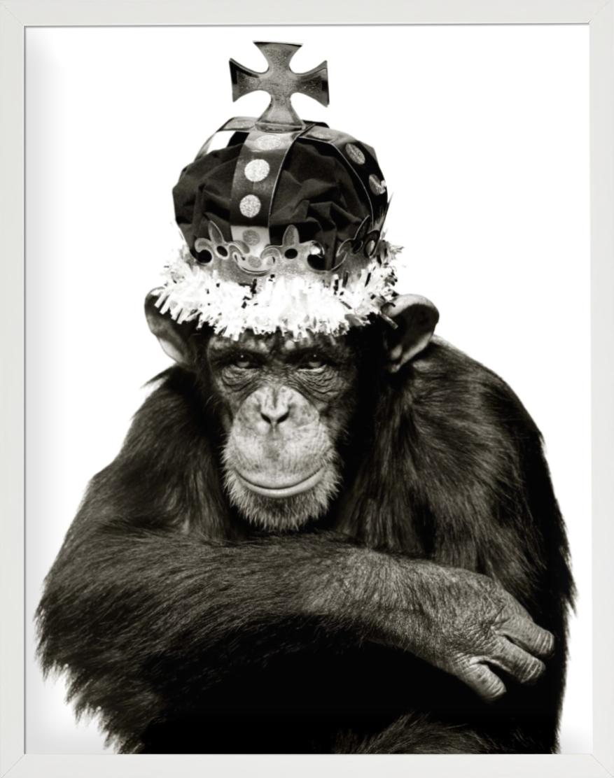 King Casey, NYC –  b&w Porträt eines Ape mit Krone, Kunstfotografie, 1992 im Angebot 2