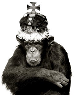 King Casey, NYC -  b&w Portrait of an Ape with crown, Fine Art Photography, 1992