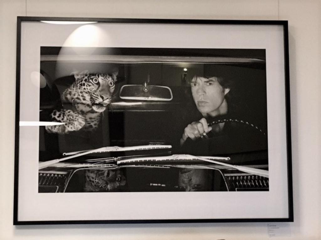 Mick Jagger in einem Auto mit Leoparden, LA - b&w Kunstfotografie, 1992 (Zeitgenössisch), Photograph, von Albert Watson