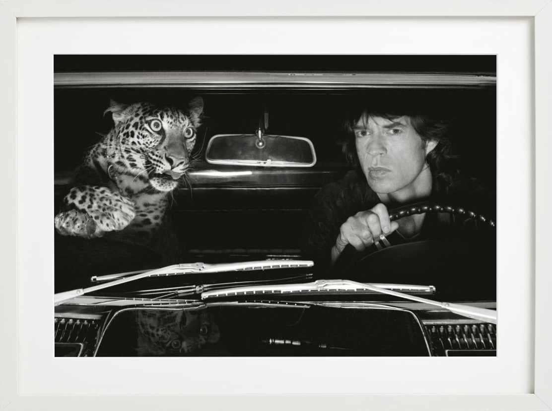 Mick Jagger in einem Auto mit Leoparden, LA - b&w Kunstfotografie, 1992 im Angebot 1