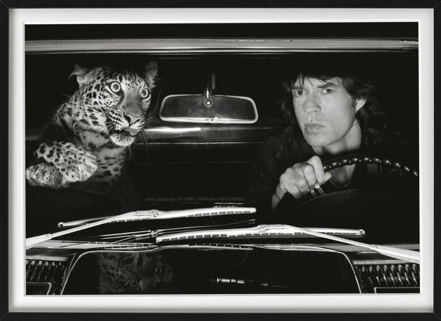 Mick Jagger in einem Auto mit Leoparden, LA - b&w Kunstfotografie, 1992 im Angebot 2