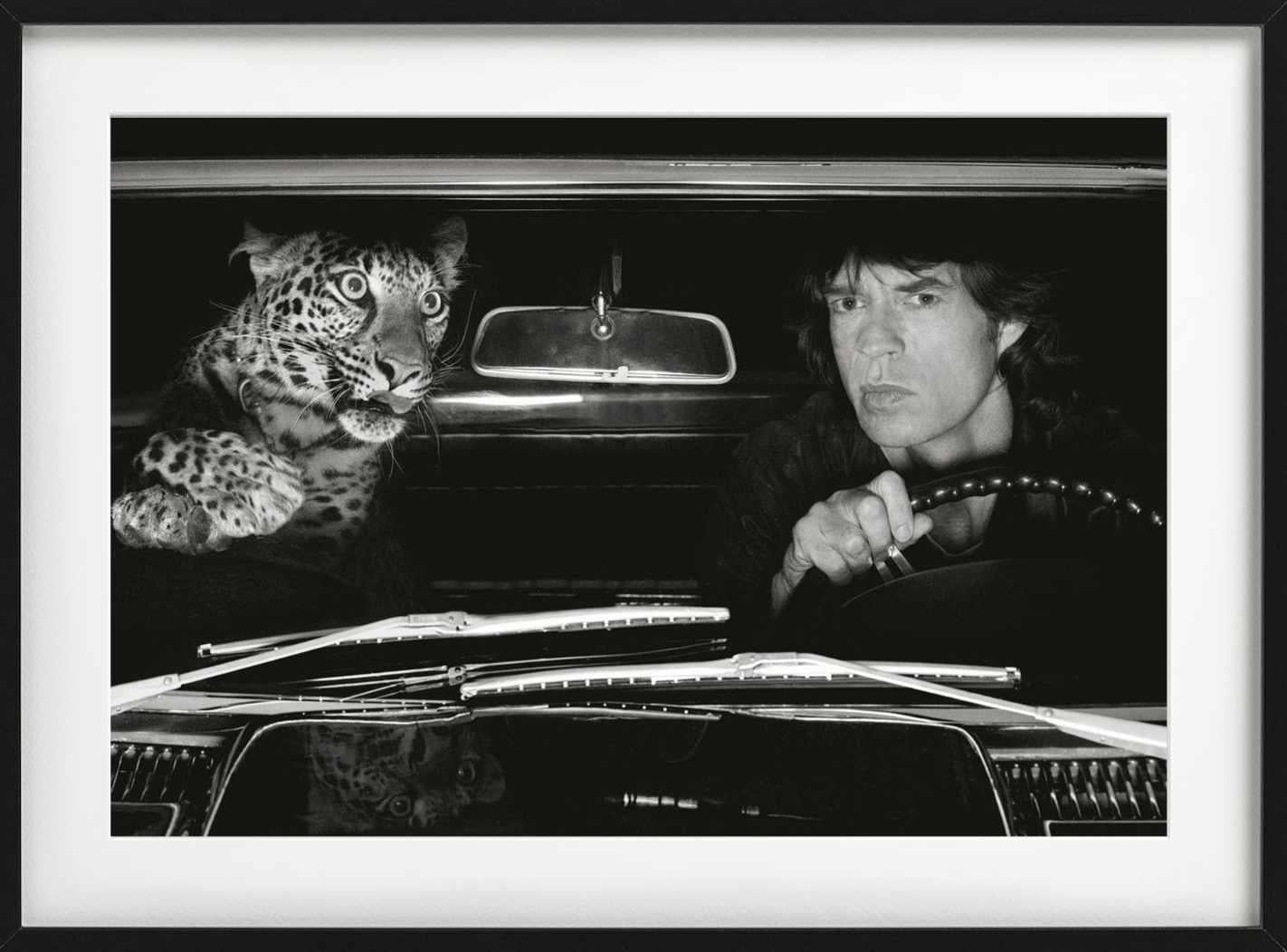 Mick Jagger in einem Auto mit Leoparden, LA - b&w Kunstfotografie, 1992 im Angebot 3